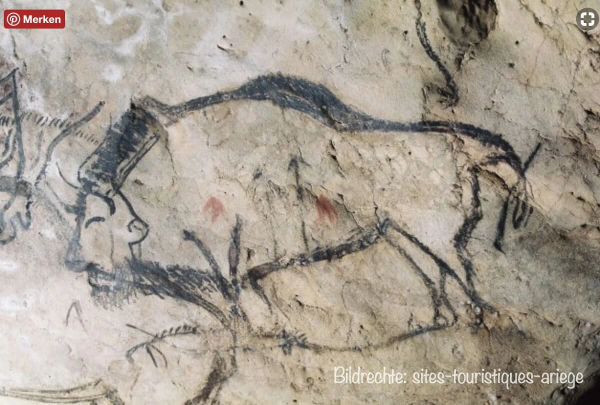 Malerei eines Bison in der Grotte de Niaux