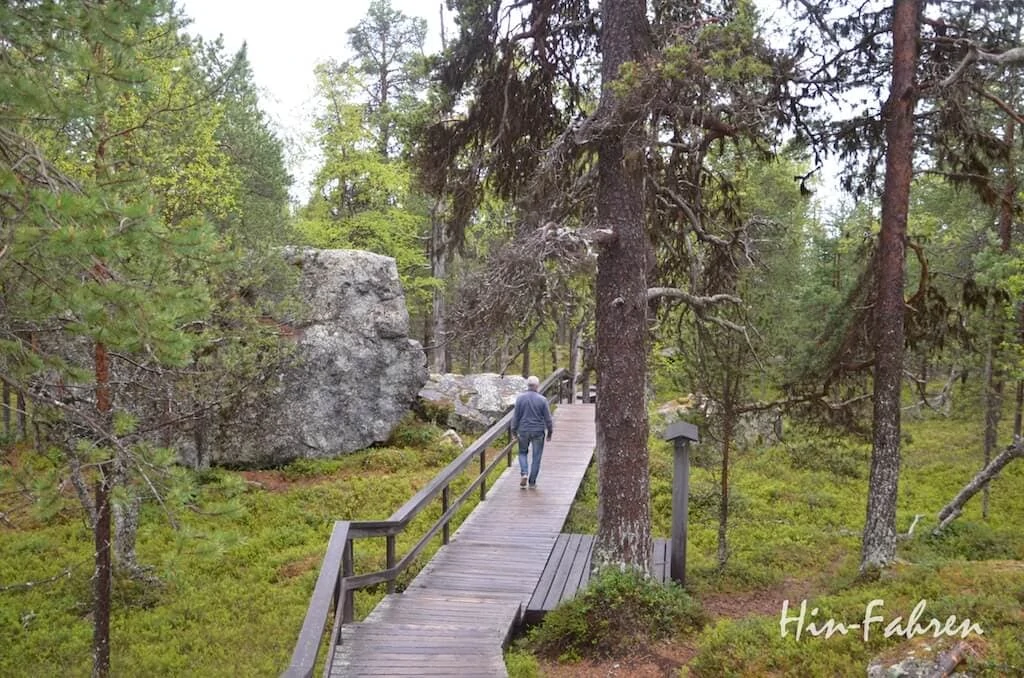 Alter Kiefernwald an der Bärenhöhle in Finnland