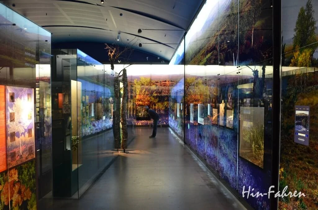 Ausstellung zur Natur im Museum Siida
