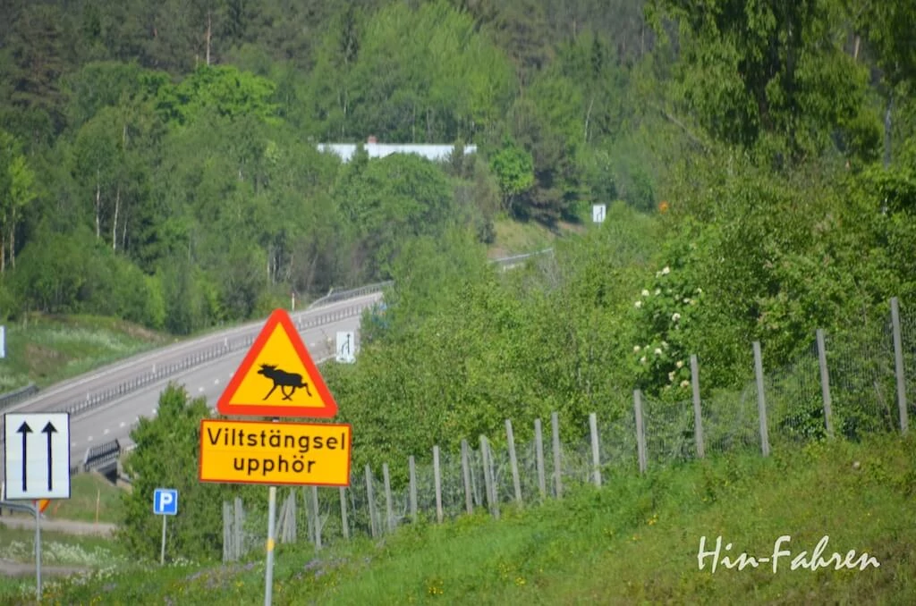 Gefahrenschild mit Elch in Nordschweden