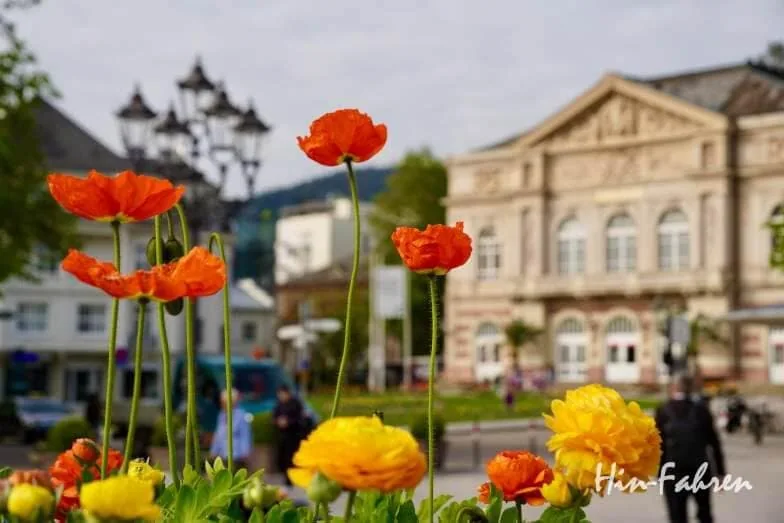 Blumen im Stadtzentrum von Baden-Baden