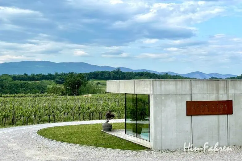 Weingut Lepa Vida in Slowenien mit Stellplatz