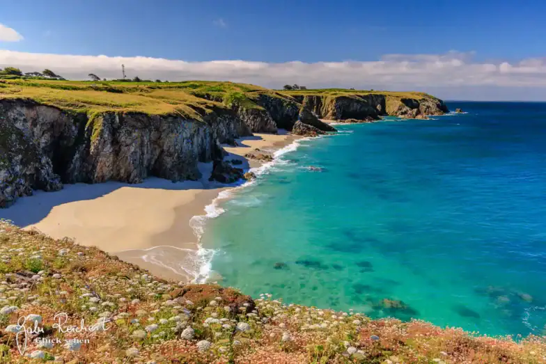 Ein malerischer Blick auf eine zerklüftete Küste mit türkisfarbenem Wasser, Sandstränden und steilen grasbewachsenen Klippen unter einem teilweise bewölkten blauen Himmel. Am Klippenrand im Vordergrund wachsen Wildblumen.