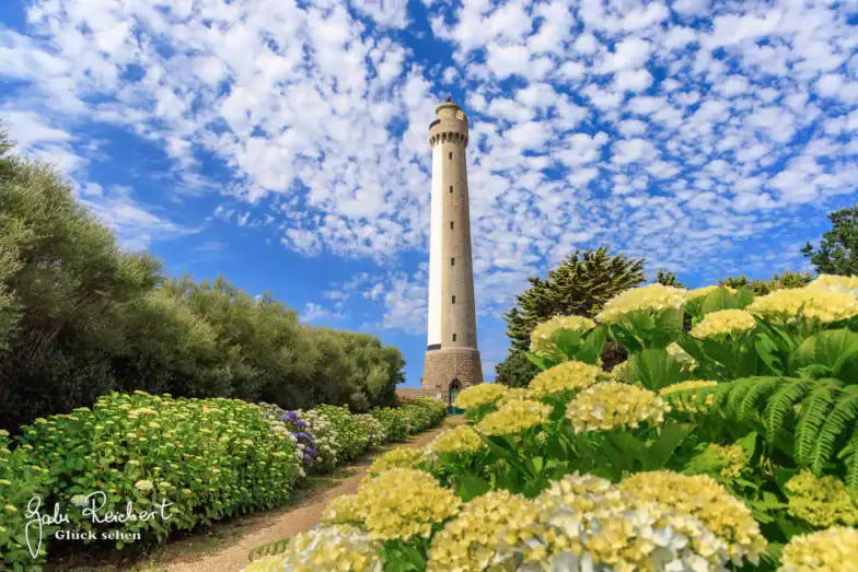 Ein hoher, weißer Leuchtturm steht unter einem blauen Himmel mit vereinzelten Wolken, umgeben von üppig grünen Büschen und blühenden Hortensien entlang eines sandigen Weges.