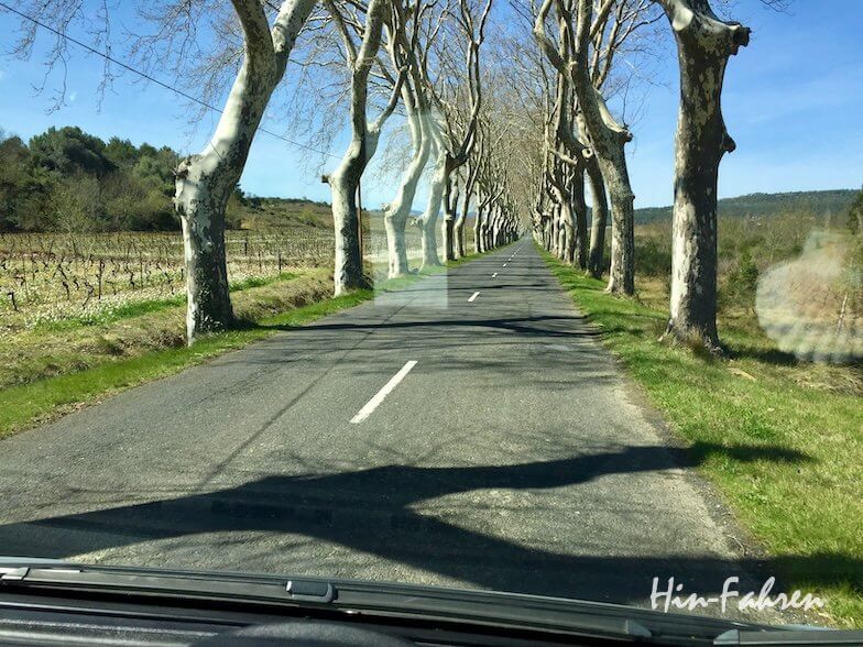Eine schmale Landstraße, gesäumt von hohen, blattlosen Bäumen, die lange Schatten werfen, erstreckt sich an einem sonnigen Tag in die Ferne, betrachtet aus dem Inneren eines Fahrzeugs. Felder und grünes Gras flankieren die Straße.